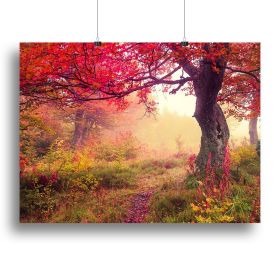 autumn trees in forest Canvas Print or Poster (Type: Poster Print, size: 28" x 20" / 70cm x 50cm (approx))